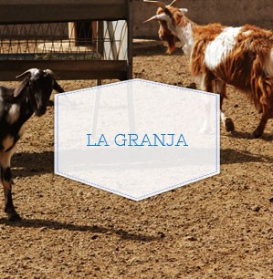 La Granja de la Facultad Veterinaria ULPGC